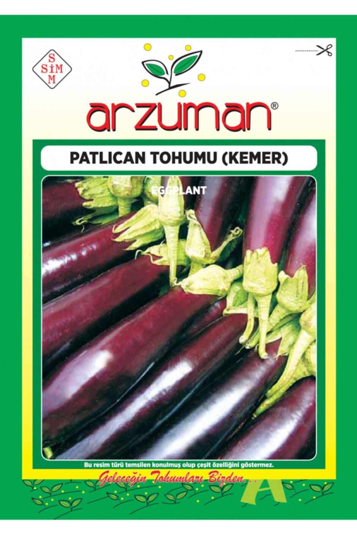 Karahasanoğlu Tarım Kemer Patlıcan Tohumu 10 Gr Ort 2000 Ad Tohum